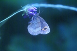 dsc04457-640x428